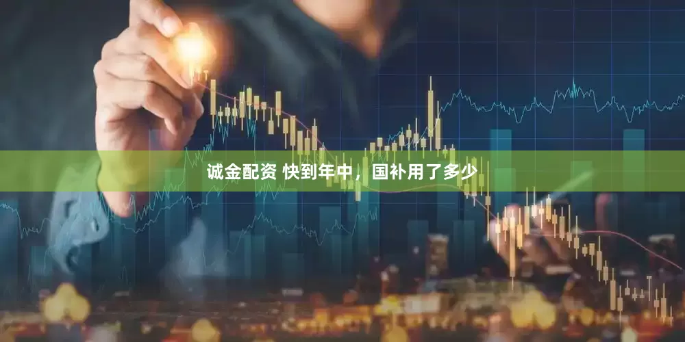 诚金配资 快到年中，国补用了多少