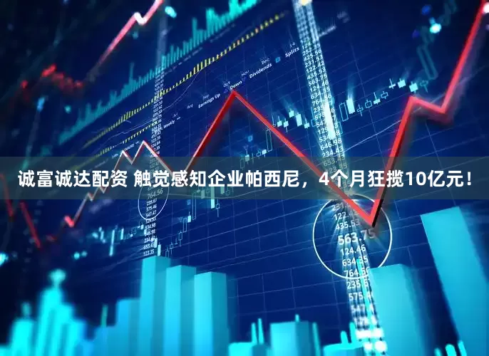 诚富诚达配资 触觉感知企业帕西尼，4个月狂揽10亿元！